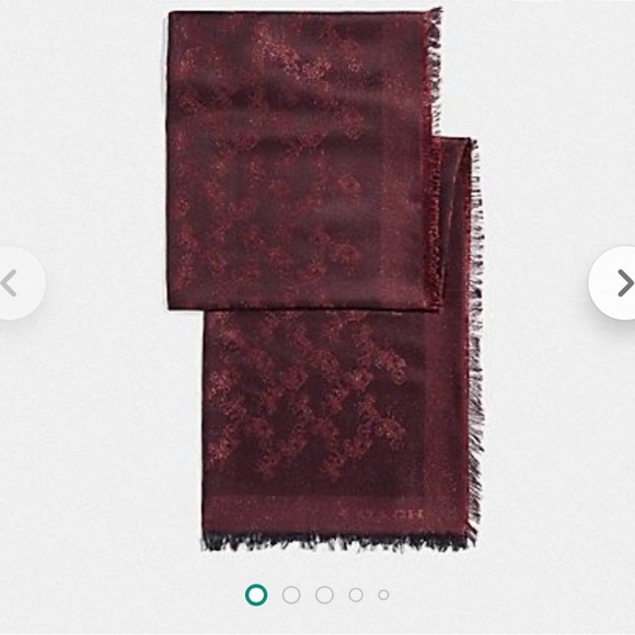 Coach Accessories - Coach Horse and Carriage Scarf